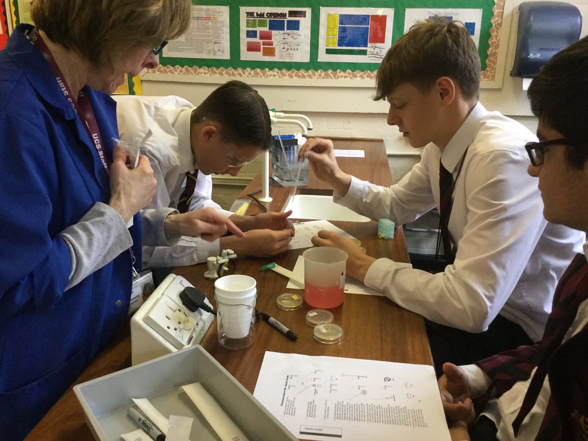 Transfer of jellyfish bioluminescing genes? Must be Enrichment Week...
<a href="/UCSBiology/">UCS Biology</a> #ucsenrichmentweek