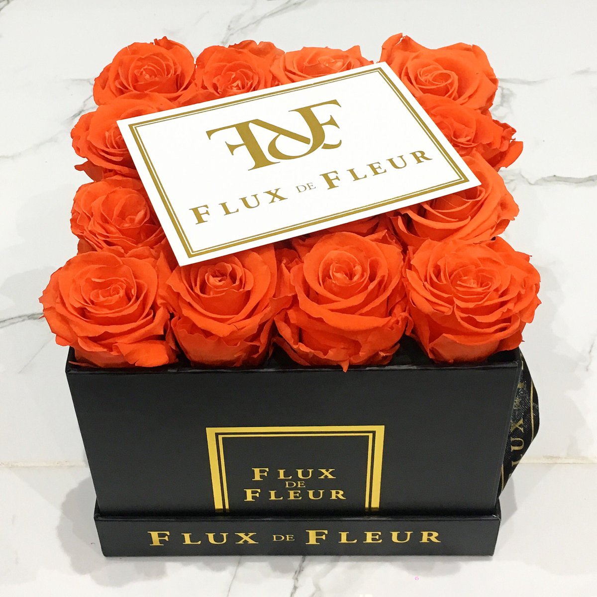 Flux De Fleur On Twitter Good Morning Good Vibes