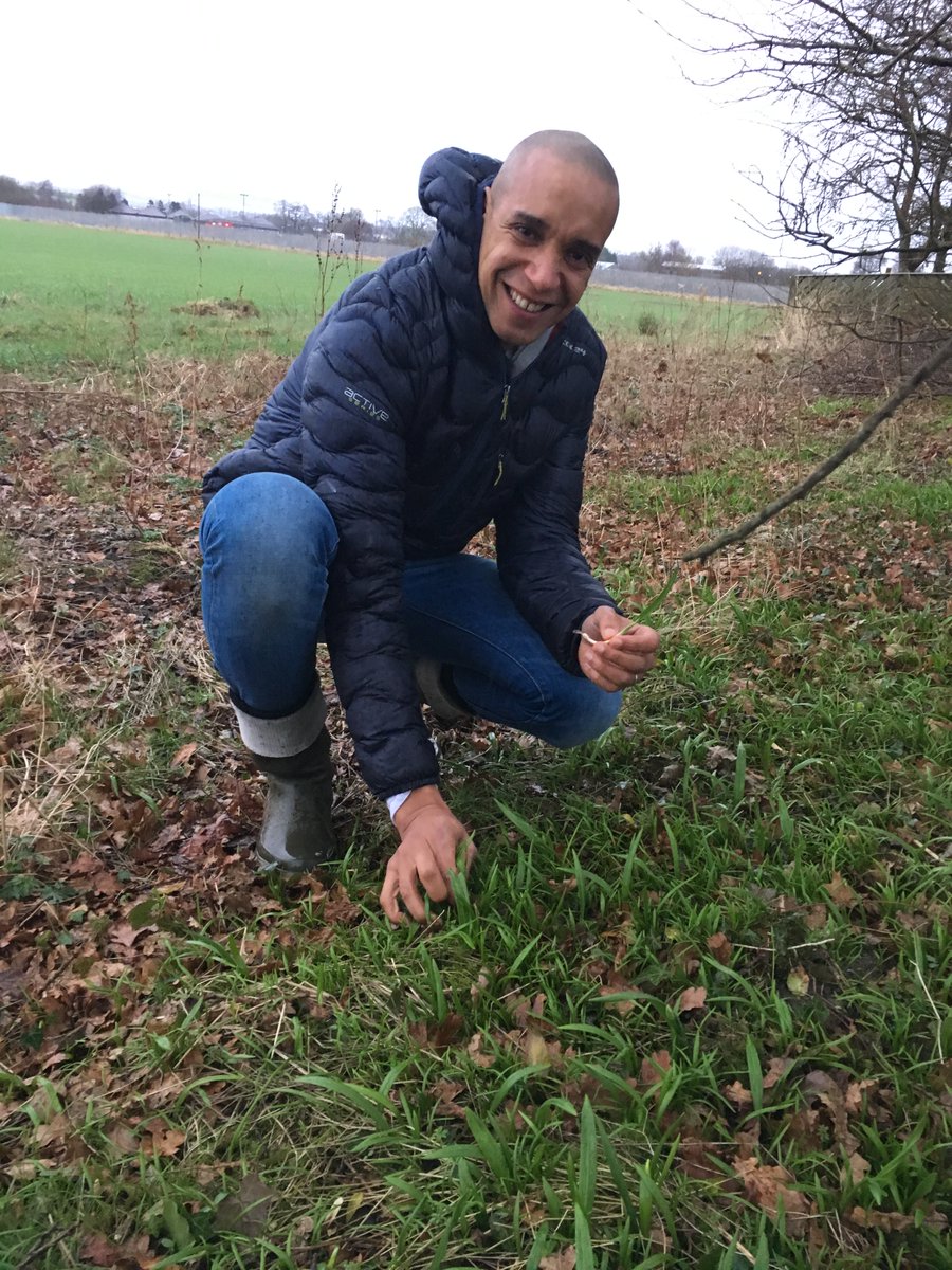 PrimalLudos's tweet photo. For today's #FreshboxFriday we've got a recipe for Wild Leek Fritata- check it out on our Facebook Page https://t.co/nA8hPX6Z1O #primal https://t.co/Q4sr7j6g49