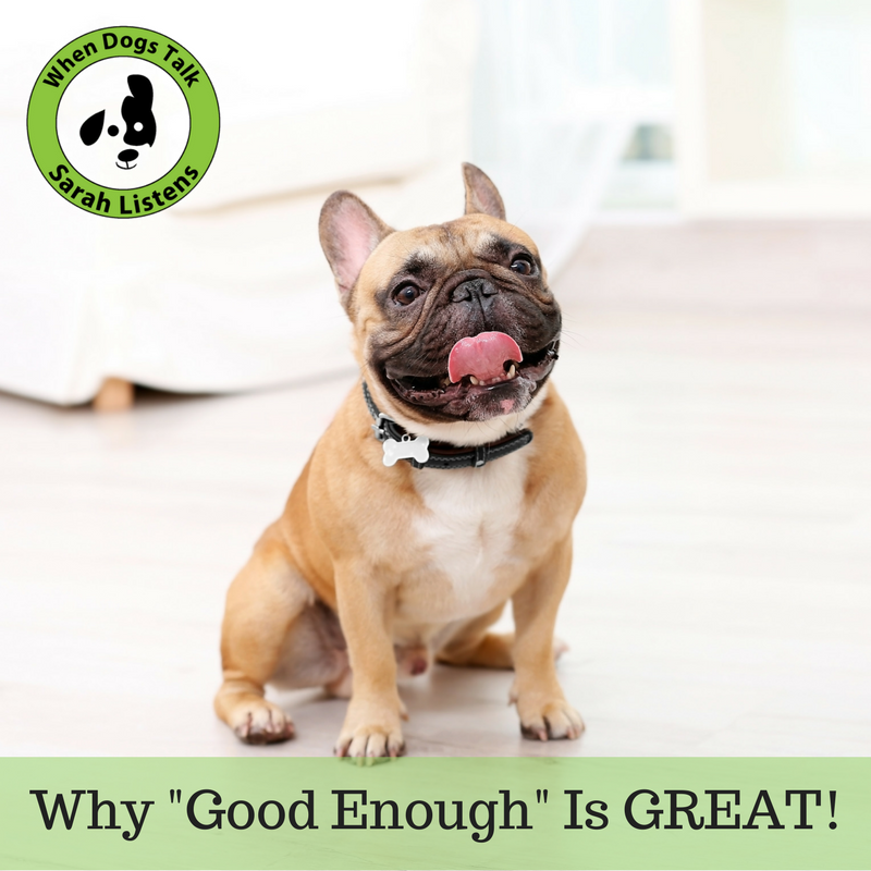 SarahSaysPets's tweet photo. Why a "Good Enough Dog" is the best kind! https://t.co/5o3qKl06OV #moderndogparenting #furbaby #furchild #dogtips https://t.co/6Q661148rE