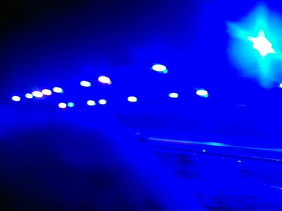 Andressa Rosso (@andressa_rosso) on Twitter photo 