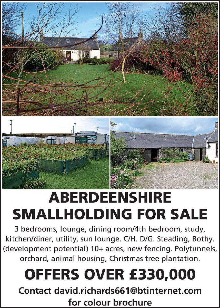 ctysmallholding's tweet photo. Fancy moving to Aberdeenshire to a beautiful smallholding - this might be the place for you (with a Xmas tree business to boot)! We love it! https://t.co/0XGp2cdV6D