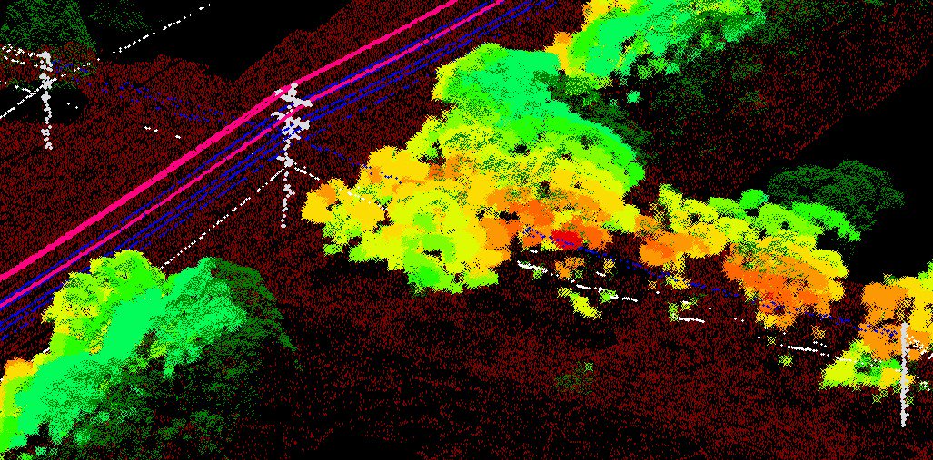 Dielmo3D tweet media