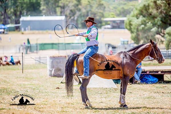 alicetaprell's tweet photo. #whipcracking #Rosewood #stockman #equestrian https://t.co/cC376q7GAi
