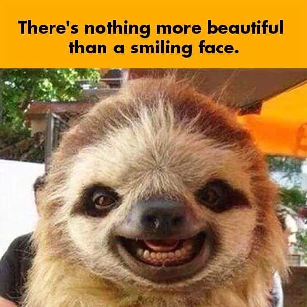 cathyhlandry's tweet photo. It's FRIDAY, don't forget to smile 😃 !! #positive #friday #smile https://t.co/zFmVXvWS6j