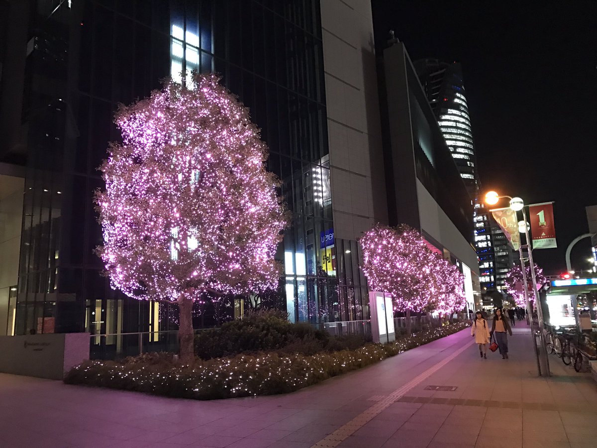 Twitter पर りりかる 名古屋駅 ミッドランドスクエア前 夜の名駅に桜が咲いたみたい お雛様だからかな とおもったら 10周年記念で3 3 3 31までこのイルミネーションみたい 名古屋駅 桜 ミッドランドスクエア イルミネーション T Co