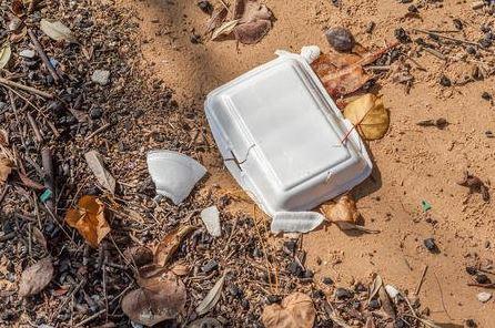 Year of Walking tweet media