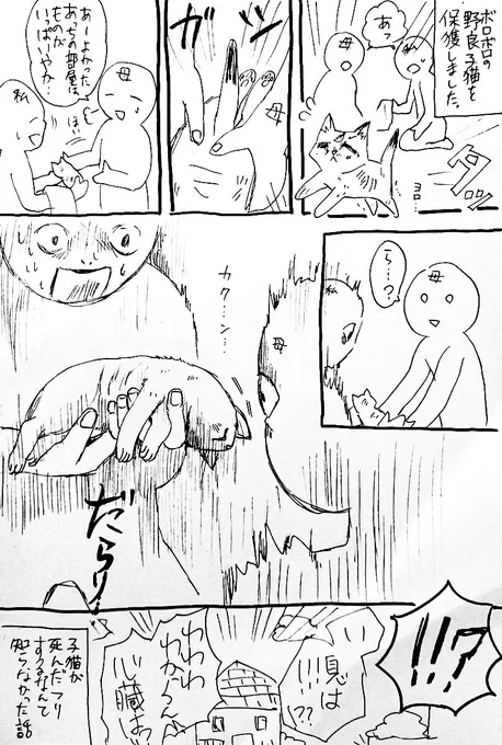 息抜き(しすぎ)漫画。  これ私達も相当怖かったけど猫もめっちゃ怖かったんだよなゴメン…。 