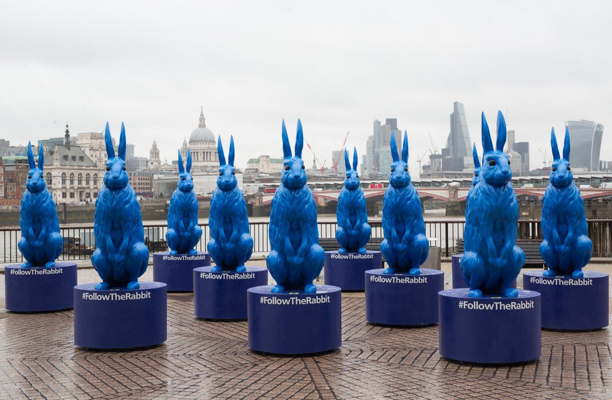 O2's tweet photo. Have you spotted our giant blue rabbits? #FollowTheRabbit across the country for the chance to win tickets to live experiences. https://t.co/wpz9BhkWa3