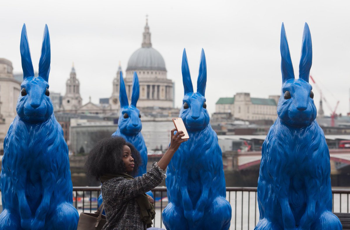 O2's tweet photo. Have you spotted our giant blue rabbits? #FollowTheRabbit across the country for the chance to win tickets to live experiences. https://t.co/wpz9BhkWa3