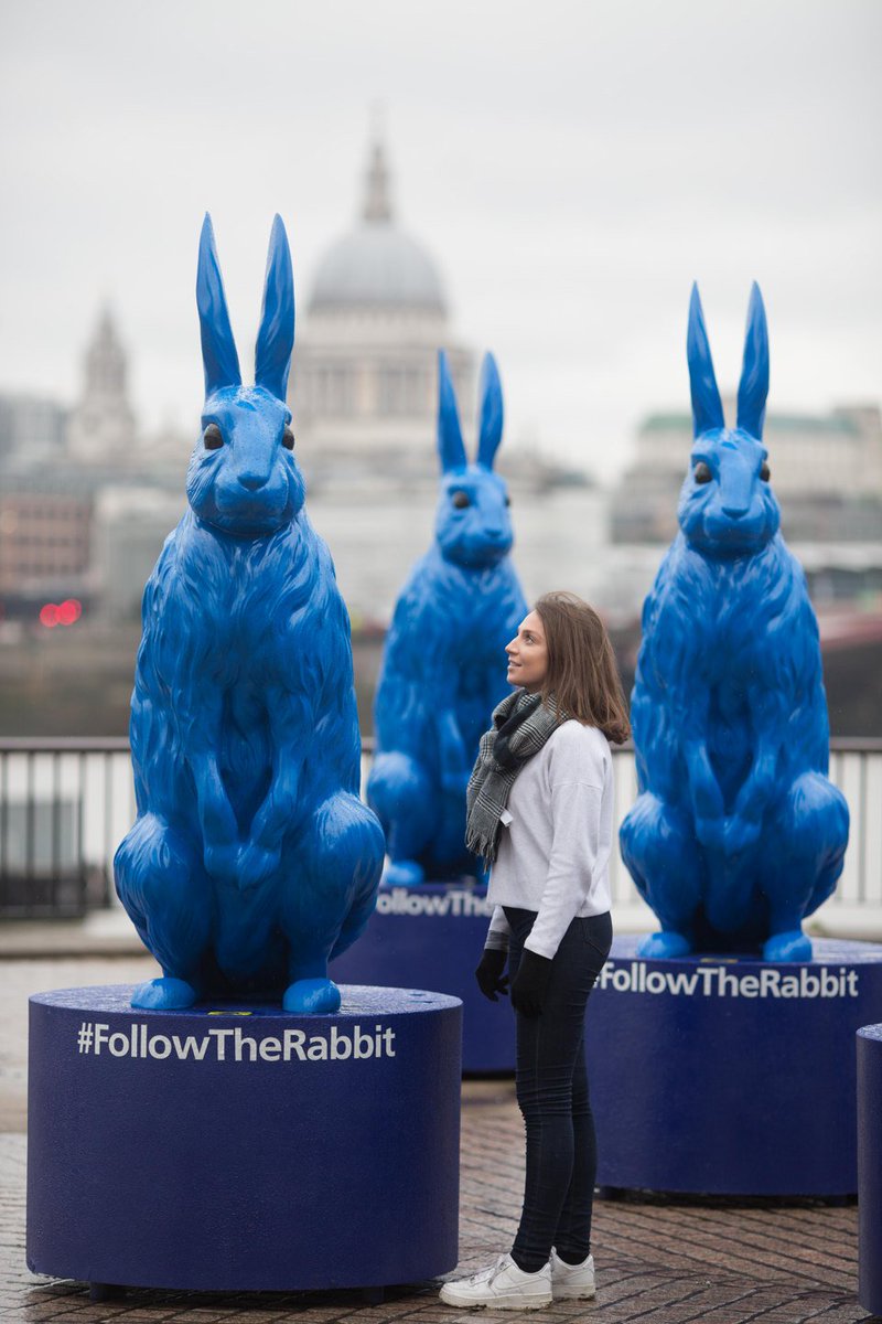 O2's tweet photo. Have you spotted our giant blue rabbits? #FollowTheRabbit across the country for the chance to win tickets to live experiences. https://t.co/wpz9BhkWa3