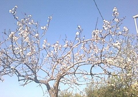 simopax82's tweet photo. Gli #abilitatiTfa meritano che arrivi la loro #Primavera #tfaèconcorso #finoallultimotieffinoinruolo @CoordNazTFA #doppiocanale @MiurSocial https://t.co/03acve5XyD