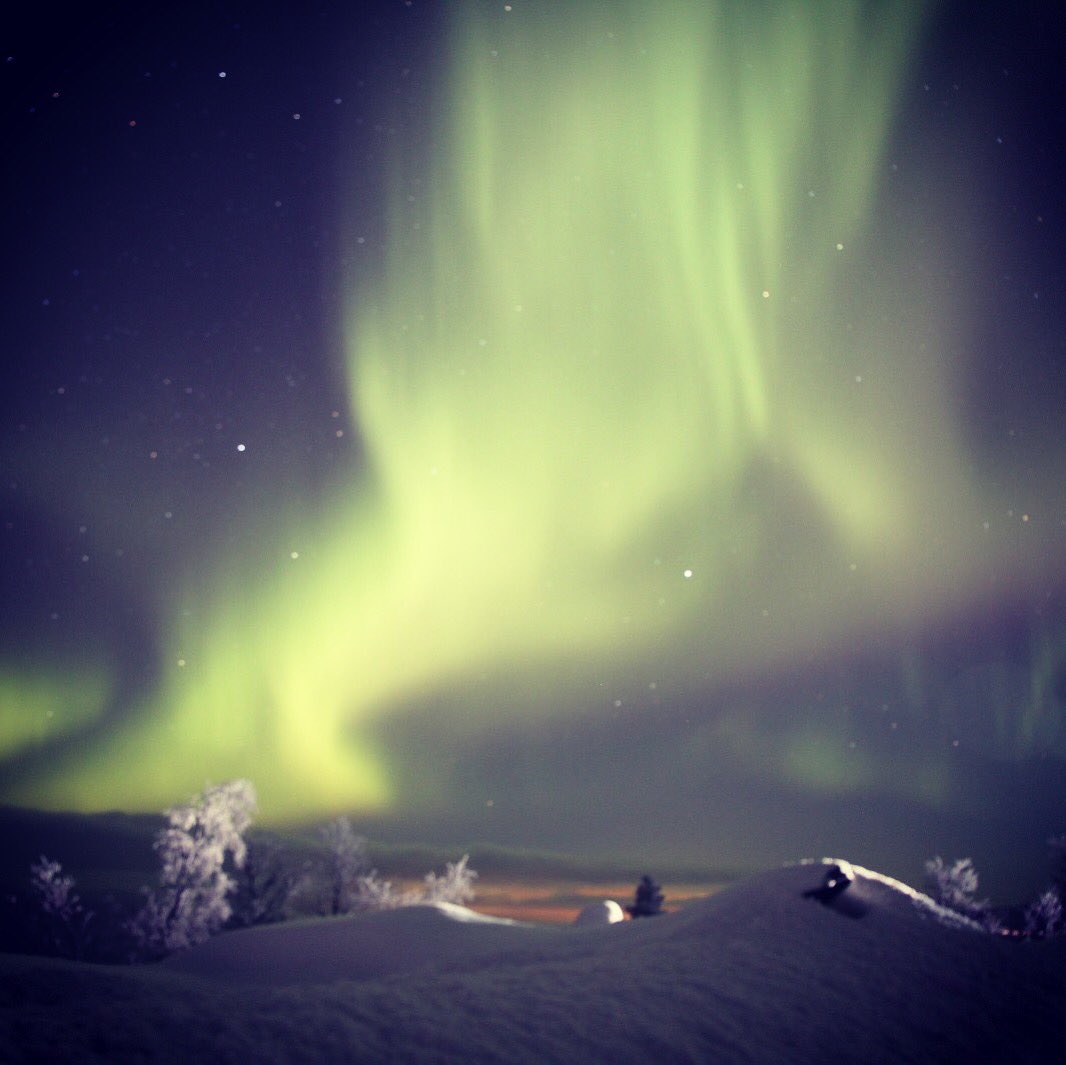 SparkStudioHQ's tweet photo. In January we were in Bali. Now in #lapland. Just "a bit" colder, but so beautiful as well #northernlights https://t.co/PIK7R9aiga