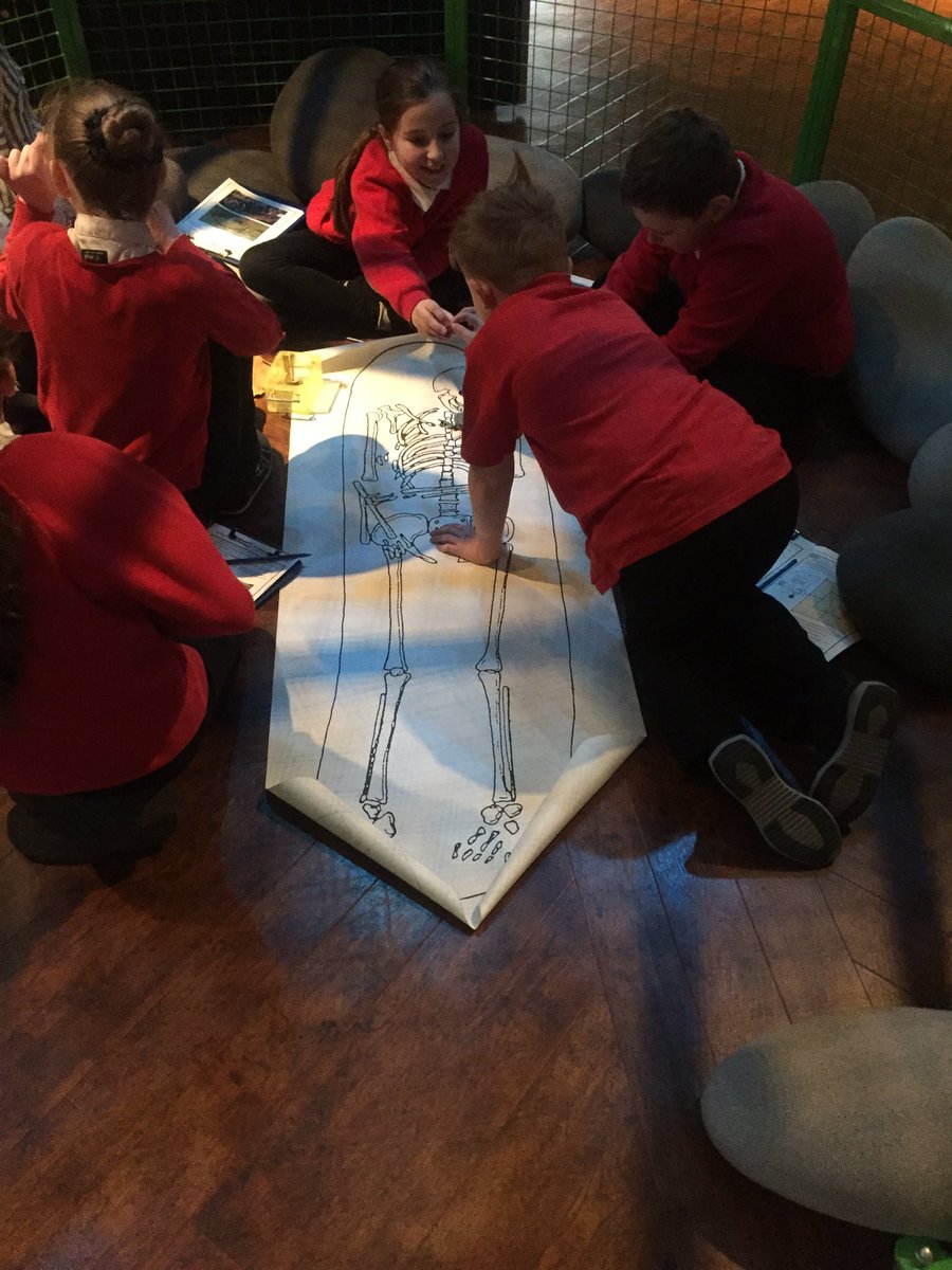 BearparkPrimary's tweet photo. Class 4 are out at the @PalaceGreenLib to add to our learning on Vikings. We're having a fantastic time! #BrilliantBearpark https://t.co/mETFTiXUNZ