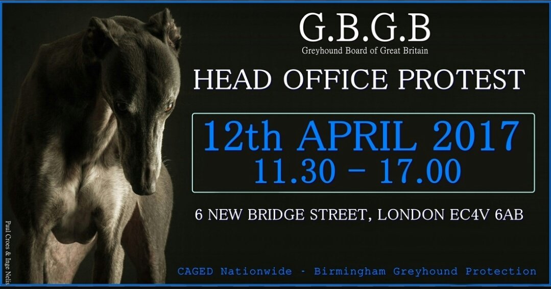 PetLevrieri's tweet photo. 📣#AnimalRights #Protest #London 📣#12Apr 📣
🆚#GreyhoundAbuse 🆚#GreyhoundRacing
🔴🔴#Join 🔴🔴#Support 🔴🔴#Fight4Animals
https://t.co/ZQAI27SVci https://t.co/5edMETLqaN