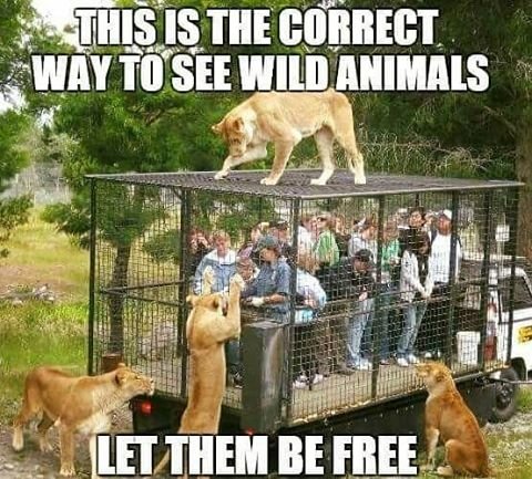 WakeupPeopIe's tweet photo. Much better then zoos https://t.co/Qa6S57mpHD