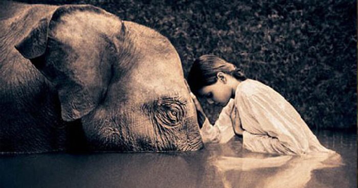 suzannecnowers's tweet photo. Our wildlife should be honored, not destroyed. Thank you #WorldWildlifeDay for reminding all of us. #deepcommunication #animalsarefamily https://t.co/jI4ihqPkRC