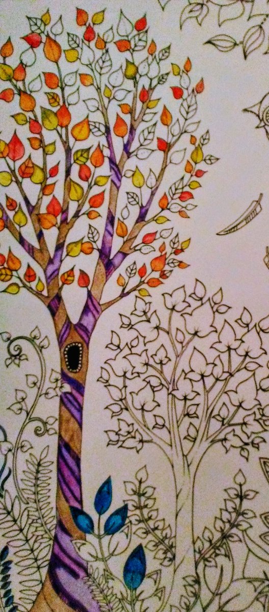 MichelleE1028's tweet image. #EnchantedForrest