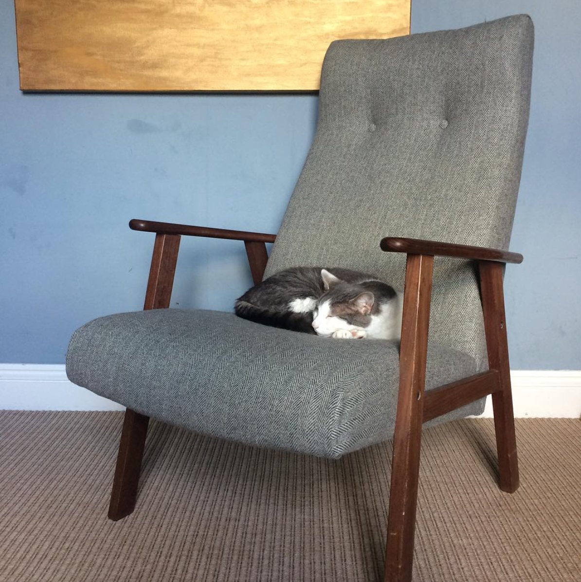 schoolofstuff's tweet photo. Lovely chair, nice cat π»#Repost @kate_bussmann 'Yep , I chose the fabric to match the cat' #reupholstery #schoolofstuff #chairsofinstagram https://t.co/gwxhZ2G9yy