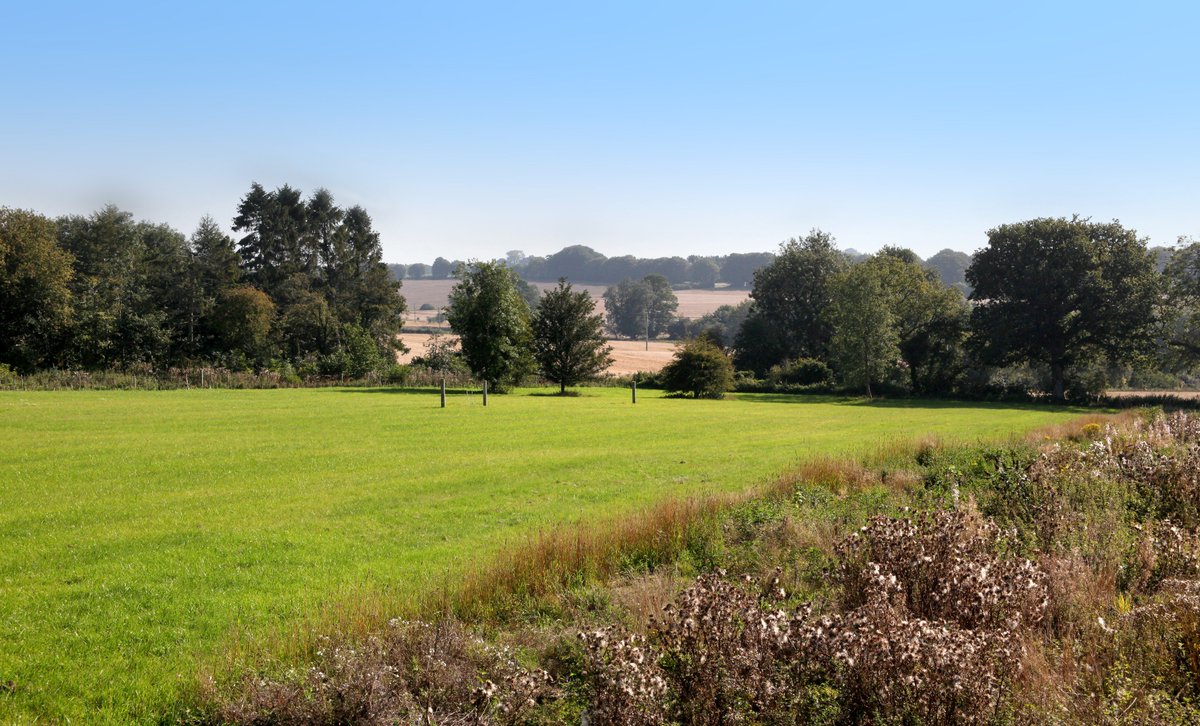 KFBasingstoke's tweet image. Our handle is changing. Please follow @KF_Hampshire for the latest properties, research &amp;amp; updates from #Hampshire #CountryLife