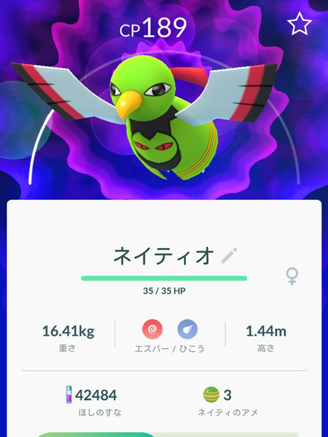 シミュラクラ Twitterissa 本日の新入りはヒメグマとネイティオ 個人的にヒメグマは ポケモンxd 闇の旋風ダーク ルギア でのレギュラーメンバー ネイティオは ポケモン不思議のダンジョン 青 赤の救助隊 で登場する大いなる峡谷の預言者としての想い出が深い