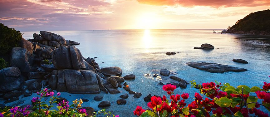 Alla våra resor hittar ni på vår hemsida eller i DreamTrips-appen.
dreamtrips.com. Trevlig Helg! :)