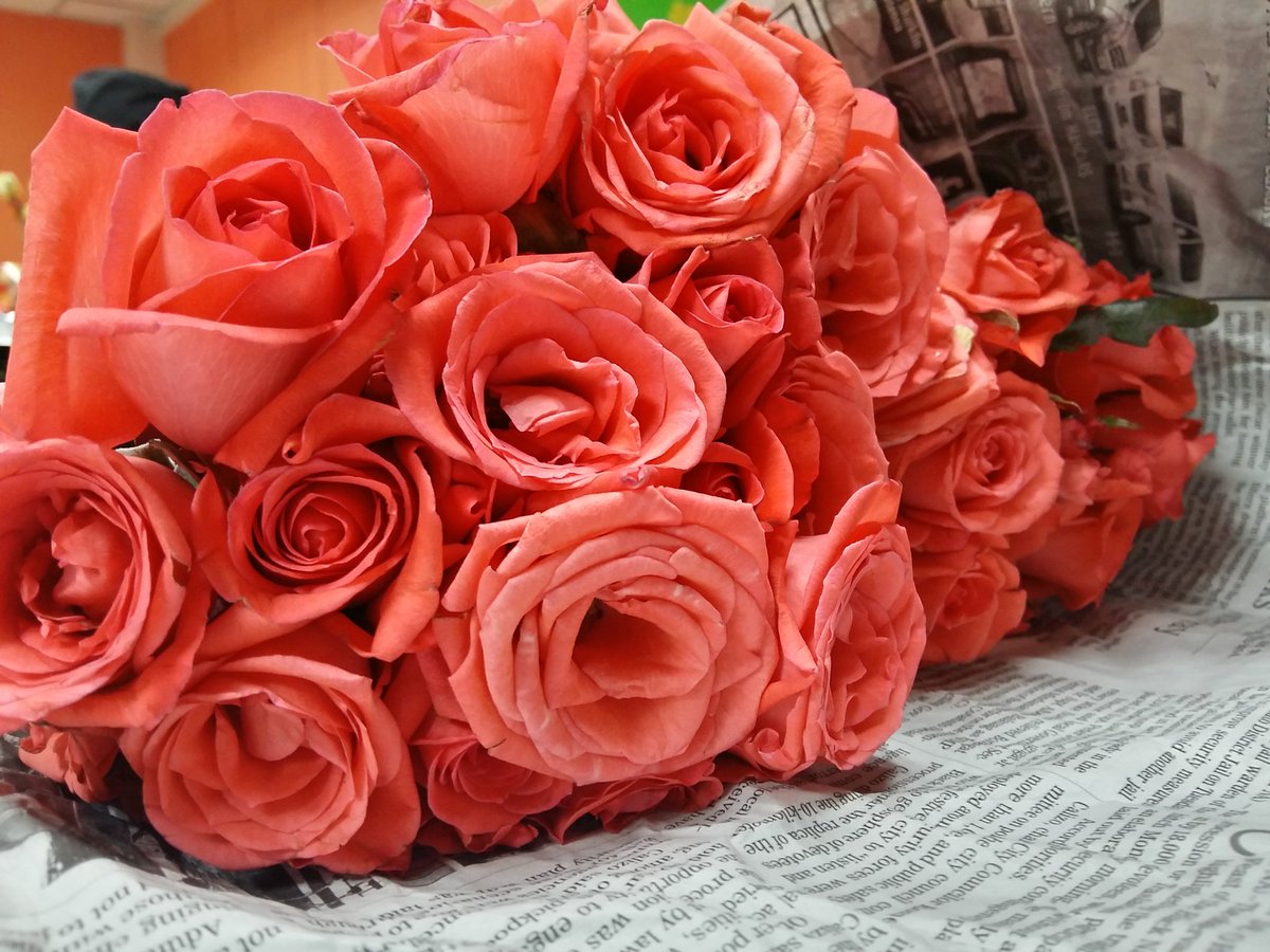 RBervic's tweet photo. Flowers๐ท๐น๐ป
@FotomasinoTPG
#Fotoma5ino
#thisishowwefoto https://t.co/ieWH0x5lUJ