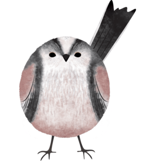 Living with Birds tweet media