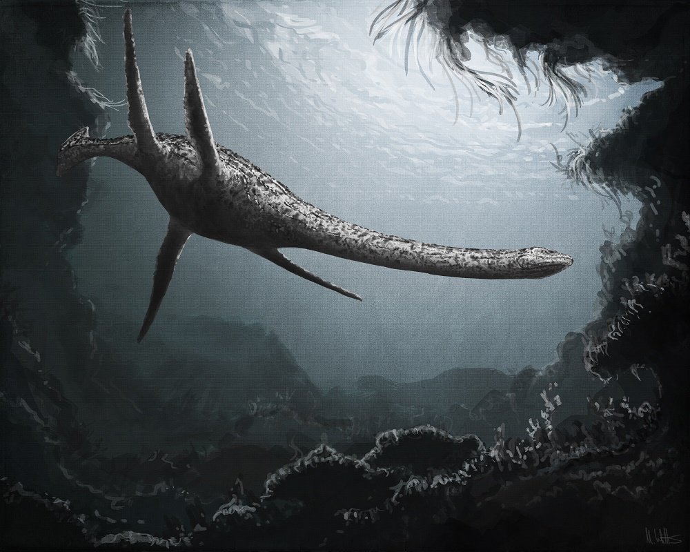 MarkWitton's tweet image. For #FossilFriday: new blog post: the life appearance of plesiosaurs, discussed. #paleoart markwitton-com.blogspot.co.uk/2017/02/plesio…