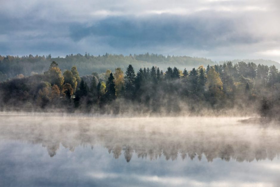 EstonianWorld's tweet photo. Happy #Estonian #IndependenceDay! Here's how the independence was achieved https://t.co/MHhgRPrpWX #Estonia https://t.co/6k1asltybO