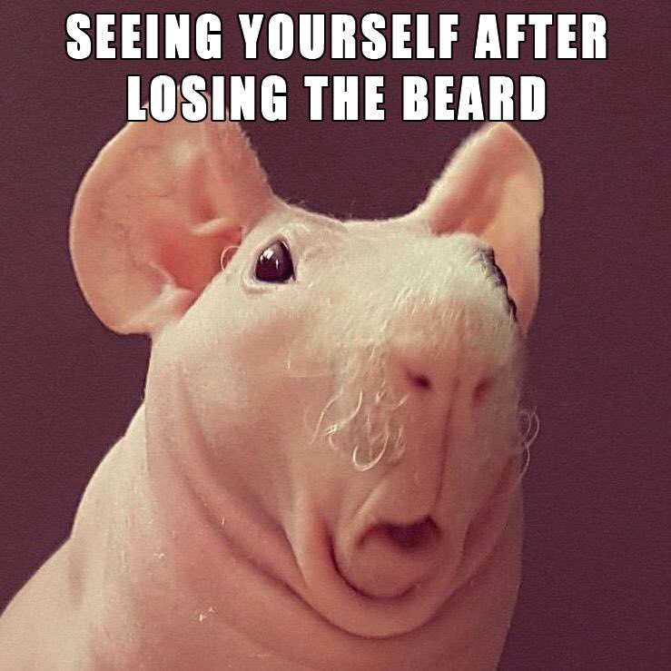 Tip of the day, don't shave..