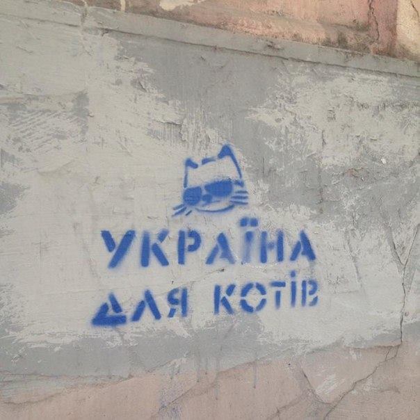 C5a9KfPWMAAqWSb.jpg:large