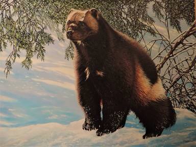StudioWebsites's tweet photo. #ArtOfTheDay
#Artist: Jeff Cain - #Wolverine #jeffcain #piegan
Title: Piegan Pass Trail - Copyright the Artist
https://t.co/exNdLjv9EM https://t.co/qt3owbu1MK