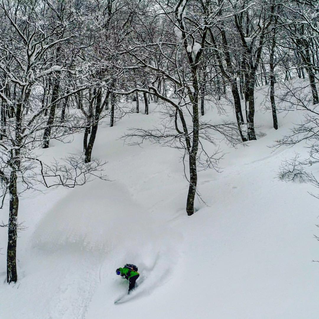 @kieranmclaughlin from @olliepop_films burning through the trees at Hakuba, Cortina!  We love Cortina trees, do you?