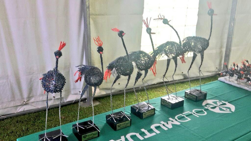 How do you show love for the endangered cranes? We run 100km over 3 days <a href="/OldMutualSA/">Old Mutual SA</a> @WildSeriesSA #3Cranes2017 #ResponsibleRunner