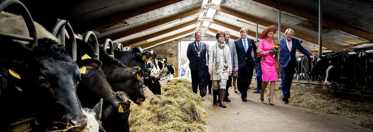volkskrant's tweet photo. 'Nu alles zo'n beetje uit elkaar lijkt te vallen is de koning een baken van blozend optimisme en ernst' https://t.co/I2H5C0CAoY https://t.co/TXVyvQSeZj