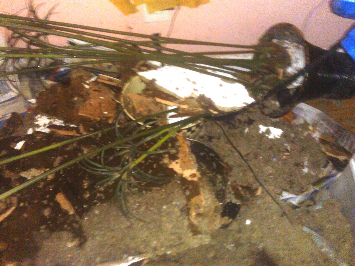 bondjane007's tweet photo. @michaelishigh @JonnyRotten1714 I join U in that #water #problem. My #ceiling in my #bedroom #collasped! Left a #gaping #hole! The ceiling! https://t.co/eOgkwTJ9H9