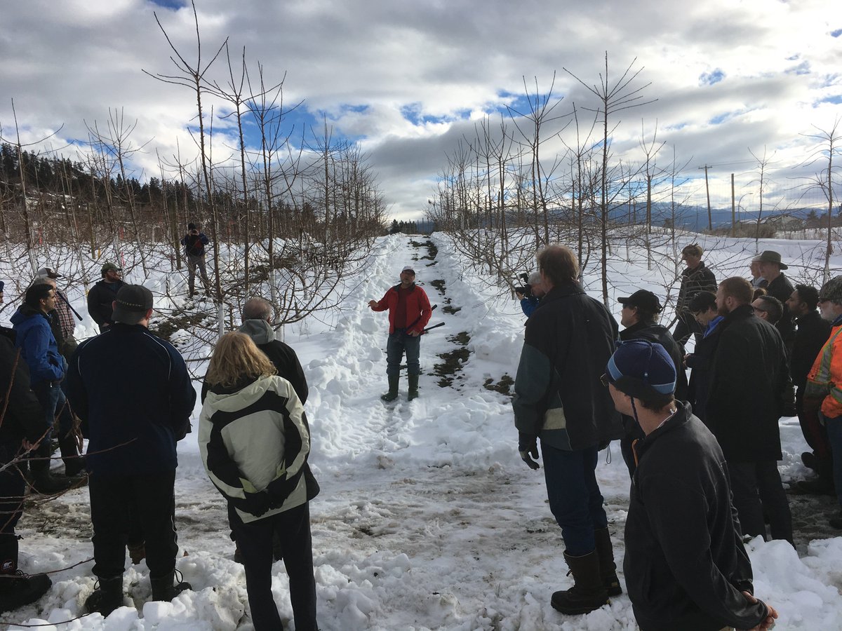 David Geen describes central leader pruning near Kelowna last week.