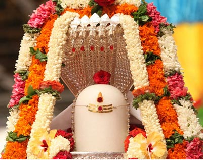 PBabyShalini's tweet photo. HAPPY MAHA SHIVARATRI https://t.co/CZjCkzLQBq