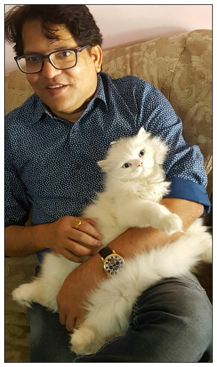 ivan_dsouza12's tweet photo. With Louie...@kittycatorganic #kitten #kittycuddles #CatsOfTwitter #catsofinstagram #pets #cats2017 https://t.co/bjj8IlNixt