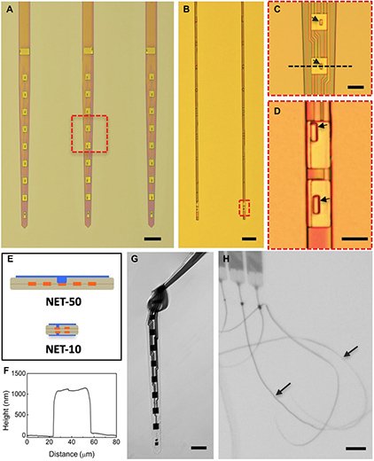 temokvoice's tweet image. #NanoThread Enables #Scientists to Extend Length of #Brain Implant Efficacy ....
medgadget.com/2017/02/nano-t…