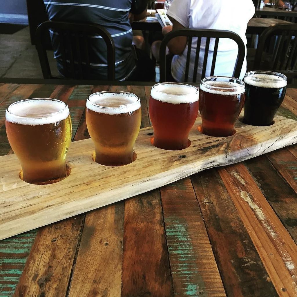 TheWigglyPath's tweet photo. Celebrated our amazing tandem paraglides w/a #beersampler at McCashin's #Brewery. #beertra… https://t.co/GQR0zvWd3F https://t.co/4Udqu4CxbJ