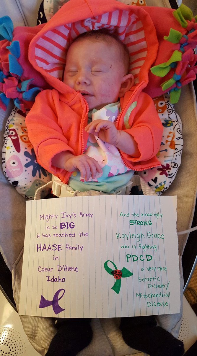 IAmMightyIvy's tweet photo. The Haase family &amp; this perfect princess supports #MightyIvy and #RettSyndrome #Awareness from Idaho! #4ellen #EllenMeetIvy #RareDiseaseDay https://t.co/LgySDIho5v