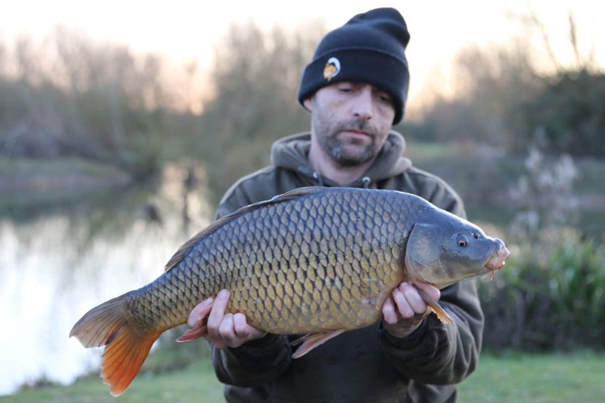 koi152's tweet photo. Mice little common taken on the cherry rig https://t.co/7i9ET7m5hR @SolarCarp #carpfishing #cherryrig https://t.co/f3IU7PdgEI