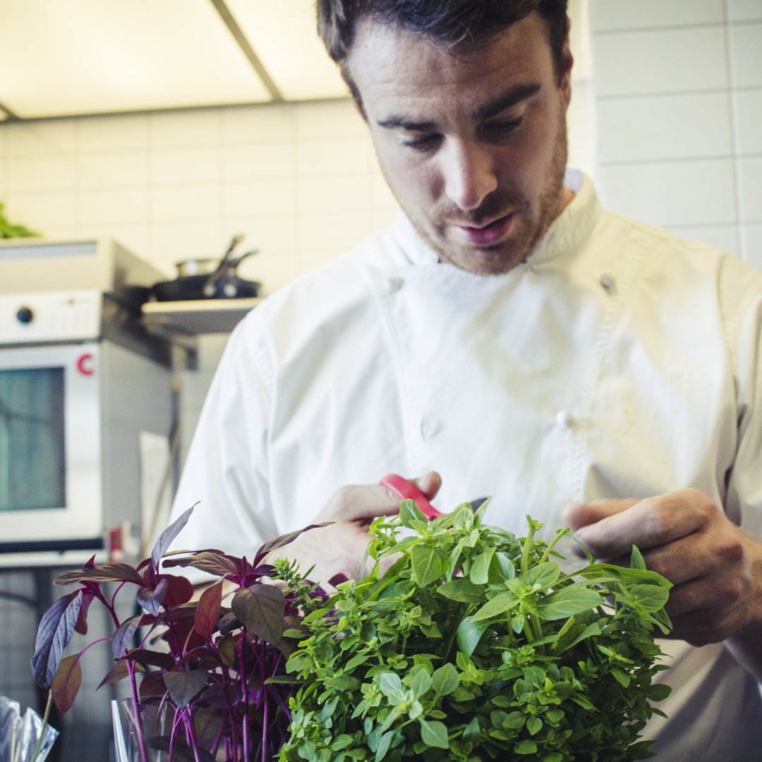 Executive chef Reuben trimming the latest delivery of fresh amaranth and Greek basil expertly grown for us by Michael at Old Tyabb Herbs 🌿