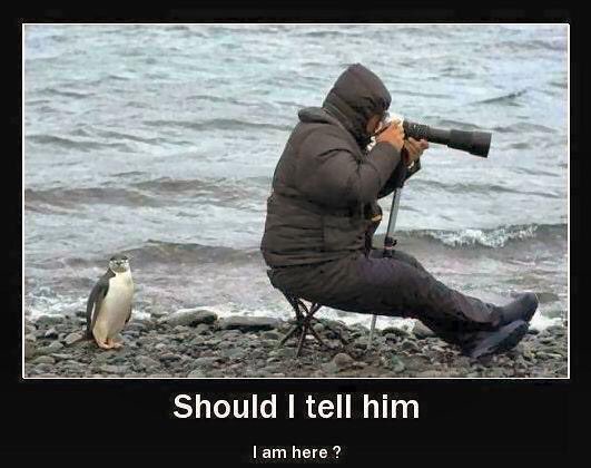 JG💙💙 tweet media