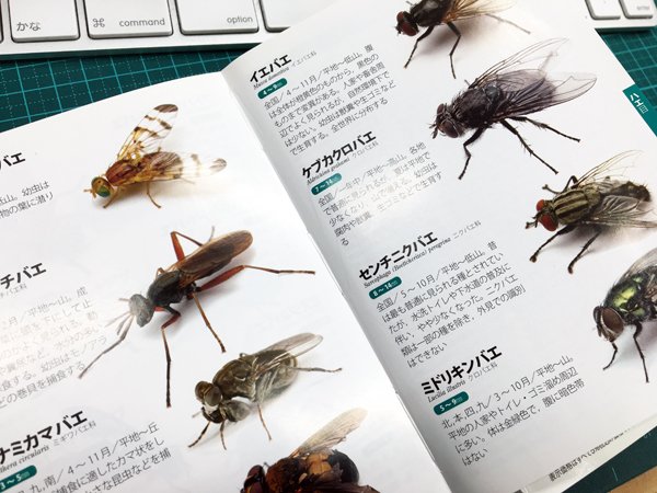 プレミアムフライデー 17 2 プレミアムフライデー 17 2