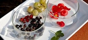 ¿Qué #novedades presentan ls nuevos #alimentos e ingredientes alimentarios autorizados para comercializar en Europa? ht.ly/vEH8309jnVB