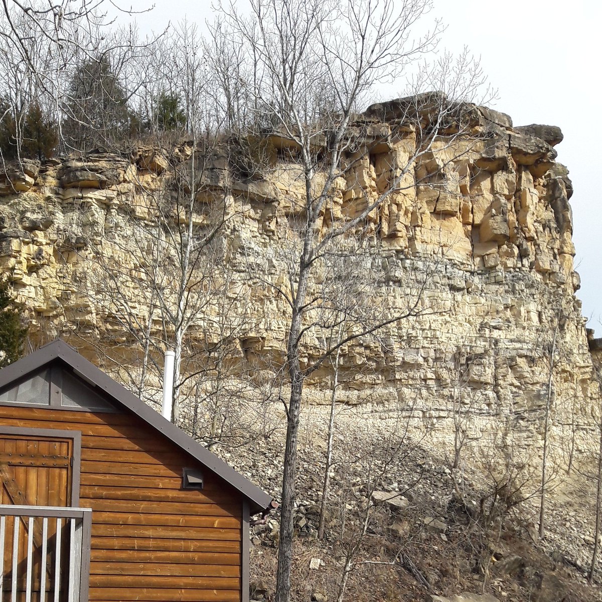 LilCountryLisa's tweet image. Custom Cabins - $95+
Call Lisa at (912)843-2344

#fernandinabeach #Cumberlandisland #stjohnsriver #flemingisland #okefenokeeswamp