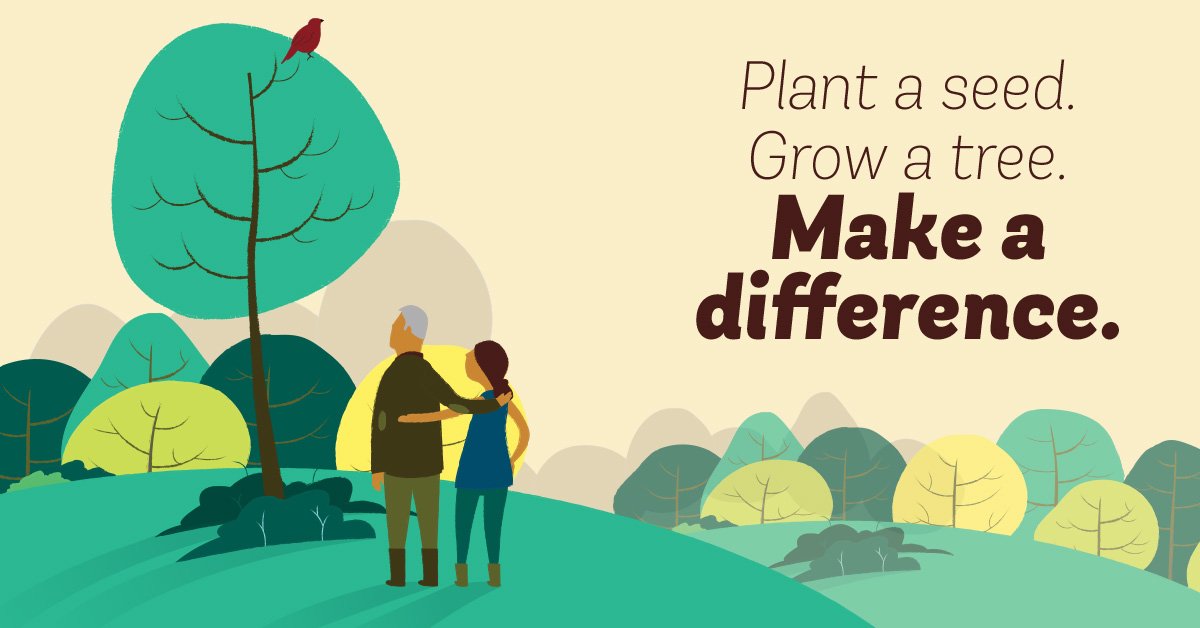 VelopostCFH's tweet photo. Help @WoodlandTrust plant #64MTrees with their free seed packs to #grow at home! Claim yours: https://t.co/oZLTSiYSgH https://t.co/D0Lidcvj4P